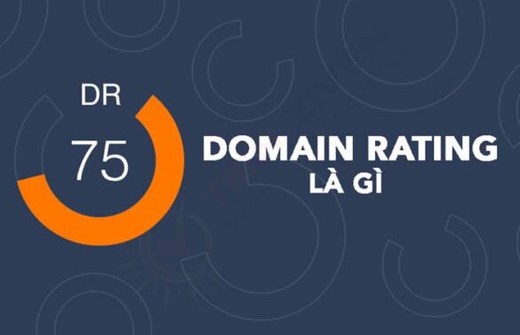 Giải mã chỉ số DR cùng KINGNCT