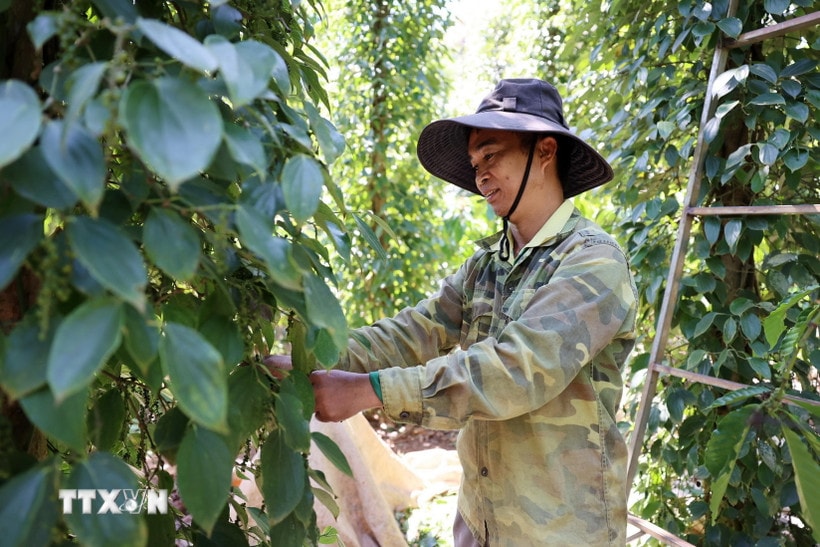 Hà Nội công bố kế hoạch biên chế hành chính, sự nghiệp năm 2025