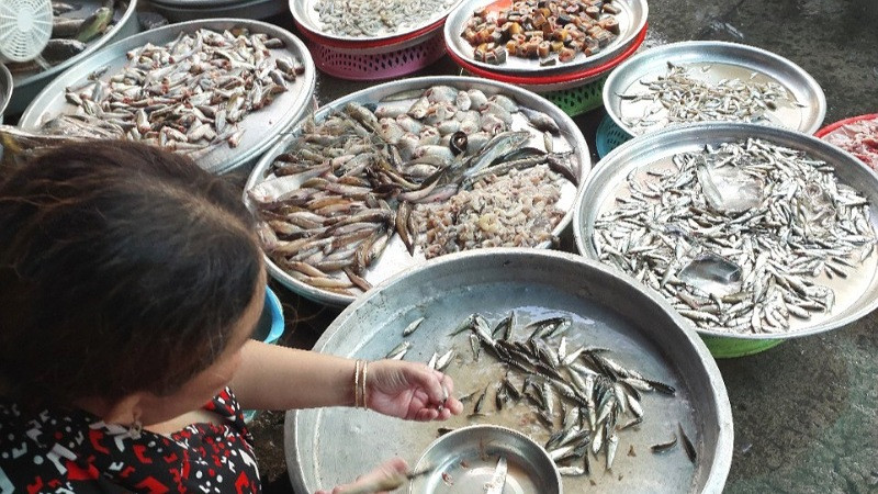 Cảnh sát đường thủy xử lý vi phạm khai thác thủy sản bằng kích điện trên sông Hồng