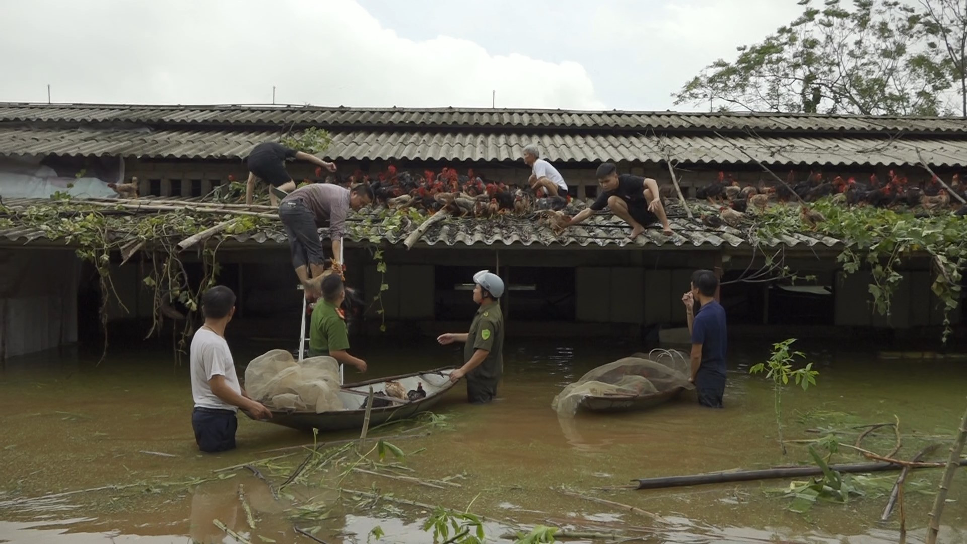 Ngập Úng Tại Hà Nội: Thực Trạng Và Giải Pháp Cần Thiết