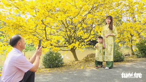 Hoa Tết Hà Nội: Niềm Vui và Nỗi Lo Đan Xen